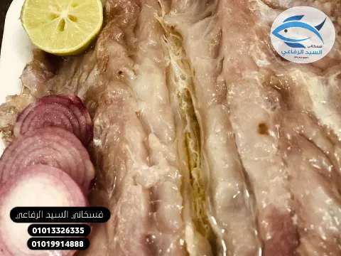 فسخاني السيد الرفاعي - الصور 10