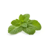 3 Mint