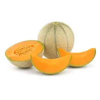Cantaloupe