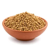 Coriander