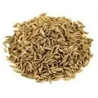 Cumin seeds