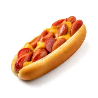 Hot Dog with Cheese and Salami