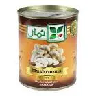 طبق مشروم