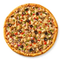 Large Chicken Mix Pizza