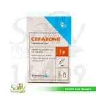 Cefaxone 1g vial