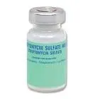 Streptomycin Sulfate 1g vial