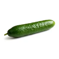 Local Small Cucumber