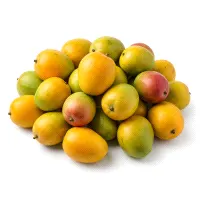 5kg Zebda Mango