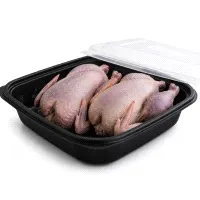 Farmer's Pigeon - Pair