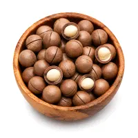 Macadamia in Shell