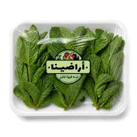 Mint