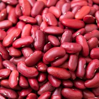 لوبياء حمراء بلدي