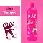 Divol Shampoo Shea