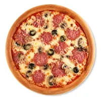 Meat Salami Medium