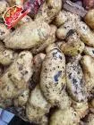 Spunta Potatoes for Frying