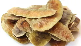سلمكة قرون