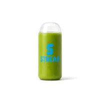 Kiwi Smoothie