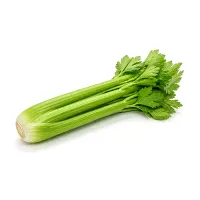 Celery