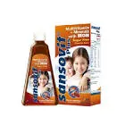 Sansofit Iron 160 ml Syrup