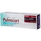 pulmicort 500