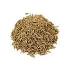 Indian cumin
