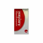 ECP Amylase 3000 Unit Syrup 120 ml