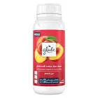 480ml Peach Center Ice