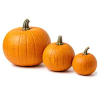 Pumpkin