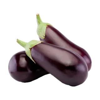 بتنجان رومى