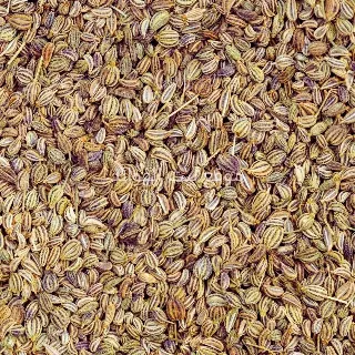Ammi Seed