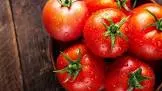 Premium Tomatoes