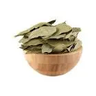 Laurus Leaves