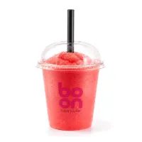 Watermelon Smoothie