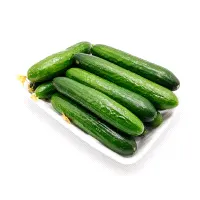 Cucumber
