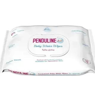 Penduline Wet Wipes 30 Pieces