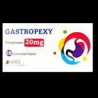 gastropexy 20