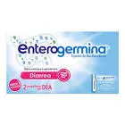 entergermina 