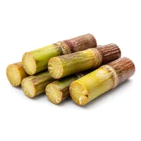 Sukkari Sugar Cane Bag