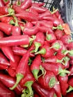 Red Chili Paste