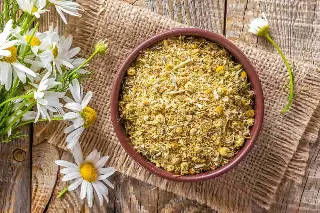 Chamomile