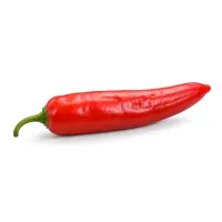 Hot Chili Pepper
