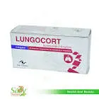 Lengocort 0.5mg/2ml 20 ampoules