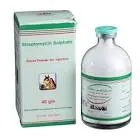 Streptomycin Sulfate 1g Ampoule