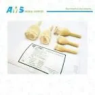 CATHETER CANDOM SIZE XL