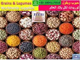 حمص شام