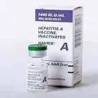 Havrix 1440 IU/mL Vial