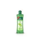 EVA MAGIC TOUTHHAIR OIL ALOEVERA EXTRACT 90 ML DISCOUNT 10%
