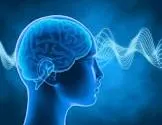 brain power