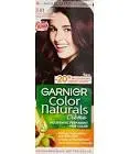 GARNIER COLOR LUCIOUS BLACKBERRY NUMBER 3.61
