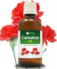 PURE CARNATION OIL 
